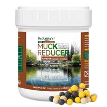 Tratamento Natural Redutor de Lodo para Lagos Dr.Raifya's 8 oz Tratamento Natural Redutor de Lodo para Lagos Dr.Raifya's 8 oz