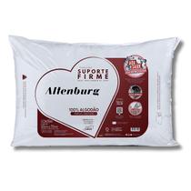 Travesseiro Altenburg Suporte Firme 50cm x 70cm - Branco