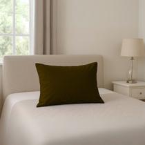 Travesseiro Hospitalar: Capa Impermeável + Refil de Espuma - Coloridas