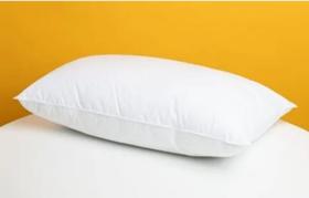 Travesseiro karina Macio Anti-Alergico