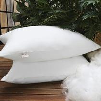 Travesseiro Microfibra Sonho 50cmx70cm Bernadete Casa Branco