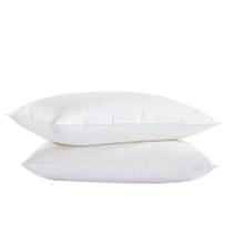 Travesseiro Ortopédico Antialérgico 70x45cm Fibra de Silicone Macia LTX Sleep
