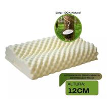 Travesseiros 58x35 Bolinha Látex Natural Suporte Ortopédico para Coluna Cervical LTX Sleep Travesseiros 58x35 Bolinha Látex Natural Suporte Ortopédico para Coluna Cervical LTX Sleep