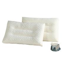 Travesseiros Antialérgico 100% algodao Pillow Fibra Casaco De malha Com Zipper 70 X 45CM