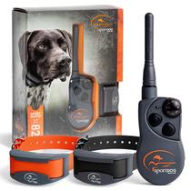 Treinador remoto SportDog SportHunter 825X para cães