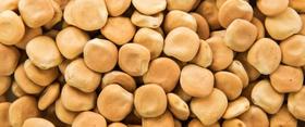 Tremoço Branco - 10kg De Sementes