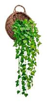 Trepadeira Artificial Pendente De Hera 90cm Para Decoração