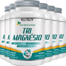 Tri Magnésio 500mg 6 X 60 Cápsulas - Flora Nativa