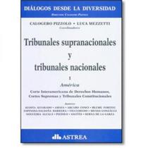Tribunales Supranacionales Y Tribunales Nacionales - Vol.1 - América Tribunales Supranacionales Y Tribunales Nacionales - Vol.1 - América