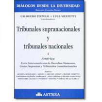 Tribunales Supranacionales Y Tribunales Nacionales - Vol.1 - América