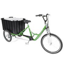 Triciclo De Carga P/ 150kg Multiuso Caixa Fechada Verde