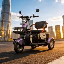 Triciclo Elétrico 800W 3 Lugares Bateria 48V 20Ah Autonomia 40km Mult 3 WD