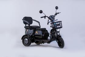 Triciclo Eletrico Adulto Cadeira Idoso 1000w Mobilidade