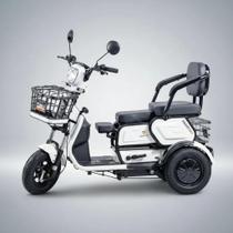 Triciclo Eletrico Adulto Cadeira Idoso 1000w Mobilidade