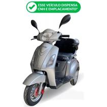 Triciclo Elétrico Autopropelido 1000W Lítio Ré Alarme Eko-10 Pró Prata