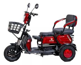 Triciclo Elétrico Cadeira Recarregavel Adulto Idoso 600w - Power 600w