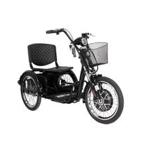 Triciclo Elétrico Duos Confortável para Adultos Motor 800w