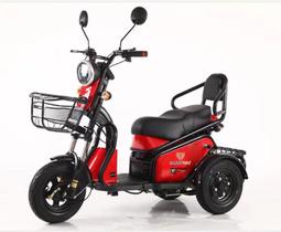 Triciclo Elétrico Family 500w Adulto Sem CNH Recarregável - Smartway