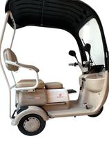 Triciclo Elétrico Tuktuk 800w Passeio Mobilidade Sem Cnh
