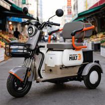 Triciclo Elétrico Wehawk Mult 3 650w 60v 20ah 3 Lugares