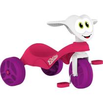 Triciclo Zootico Assento Anatômico Bandeirante