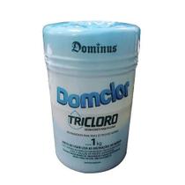 Tricloro Domclor Consumo Humano Embalagem com 5 Pastilhas de 200g