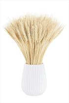 Trigo alvejado - Sempre Viva - Decoração casamento - 25 unidades