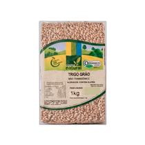 Trigo Em Grãos Orgânico Coopernatural 1Kg Trigo Em Grãos Orgânico Coopernatural 1Kg