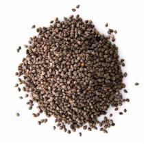 Trigo Mourisco / Trigo Sarraceno - 10kg De Sementes Trigo Mourisco / Trigo Sarraceno - 10kg De Sementes