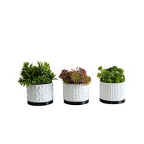 Trio Cachepot P - Realce