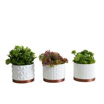 Trio Cachepot P - Realce