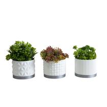 Trio Cachepot P - Realce