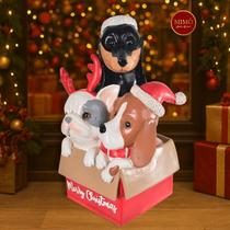 Trio de cachorrinhos na caixa - 33cm Trio de cachorrinhos na caixa - 33cm