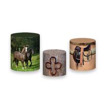 Trio De Capa Cilindro - Cavalo Na Fazenda 002