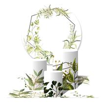 Trio de Capas Cilíndricas + Painel Redondo Sublimado c/ Elástico Folhas Decorativas Dourada Aquarela