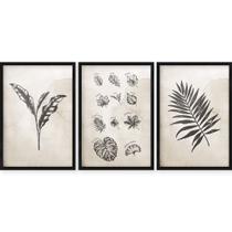 Trio de Quadros Decorativos com Moldura e Impressão em Vidro Natureza Plantas Nomes Trio de Quadros Decorativos com Moldura e Impressão em Vidro Natureza Plantas Nomes