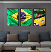 Trio De Quadros Decorativos senna"