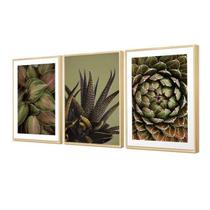 Trio de Quadros Decorativos Verde Folhagens Natureza 98x41cm