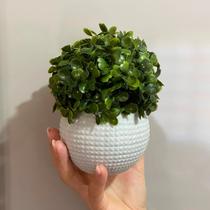 Trio de Vasos Cachepot Diamante para Cactos, Flores ou Suculentas