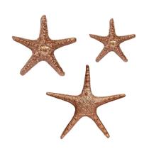 Trio Estrelas do Mar Rose Gold Decorativa Inspiração Boho Praia Verão Impecável AVB DECOR
