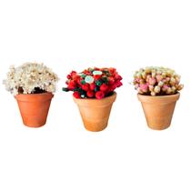 Trio mini vasos de flor natural seca colorida artesanal para decoração de ambientes escritório e quartos infantis, presentes e lembranças
