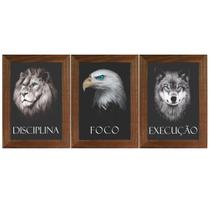 Trio Quadro Leão Águia Lobo Disciplina Foco Execução 40cm Trio Quadro Leão Águia Lobo Disciplina Foco Execução 40cm