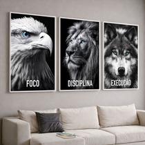 Trio Quadros com Moldura e Acrilico Cristal Vidro Foco Disciplina Execucao Kit 3 Quadros para Sala, Quarto ou Escritório