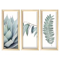 Trio Quadros Elegantes Decorativos 10x25cm Com Moldura Pinus