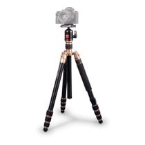 Tripé / Monopé Kingjoy Ac-258 Cabeça Ball Head Qb-00