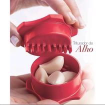 Triturador de Alho Amassador Tempero Manual