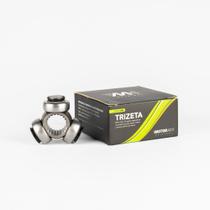 Trizeta Renault R19, Clio, Megane, Scenic, Master LE