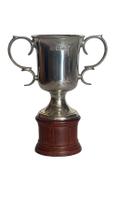 Troféu com base de madeira, altura total = 16 cm (P240D)