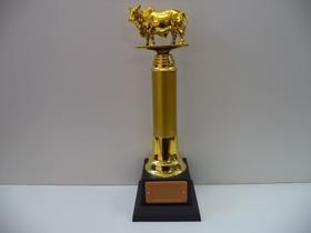 Troféu de boi (35 cm). Troféu de boi (35 cm).