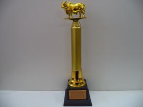 Troféu de boi (41 cm). Troféu de boi (41 cm).